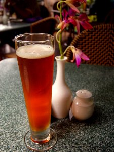 Pilsner Beer