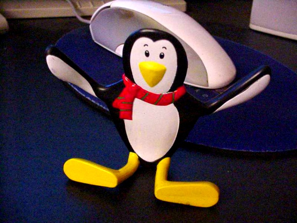 Penguin 3