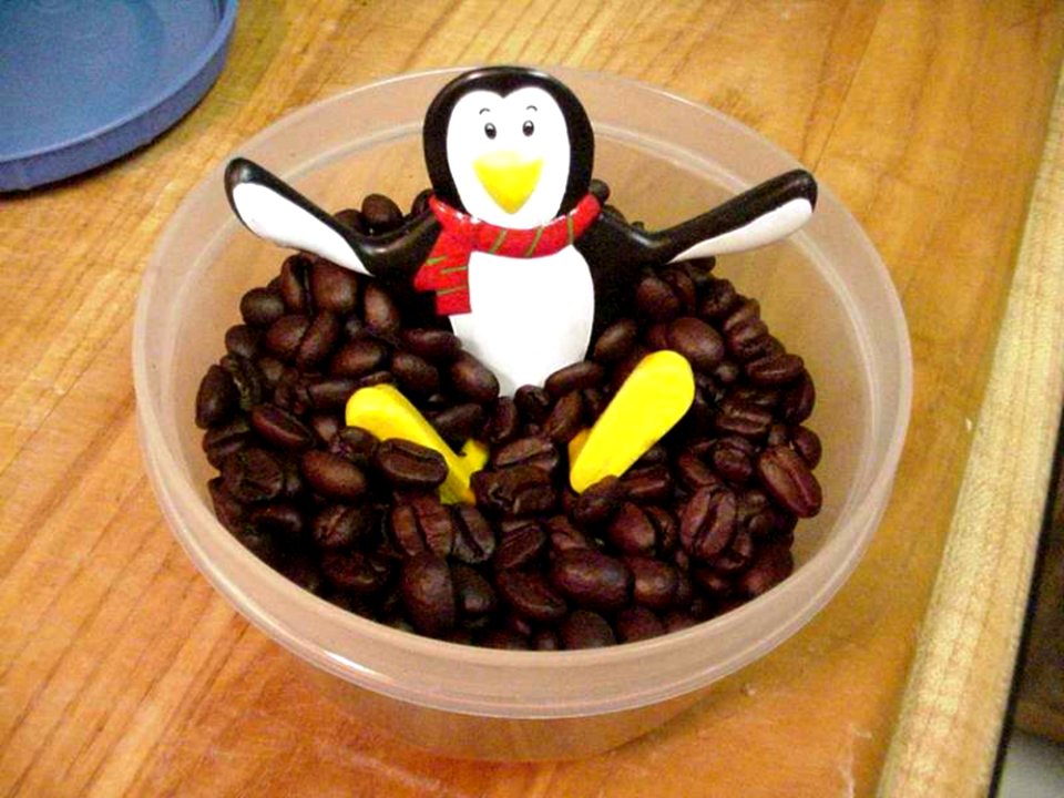 Penguin And Coffee