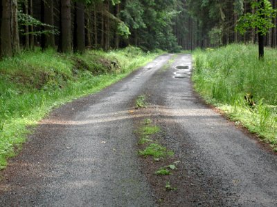 Road 5