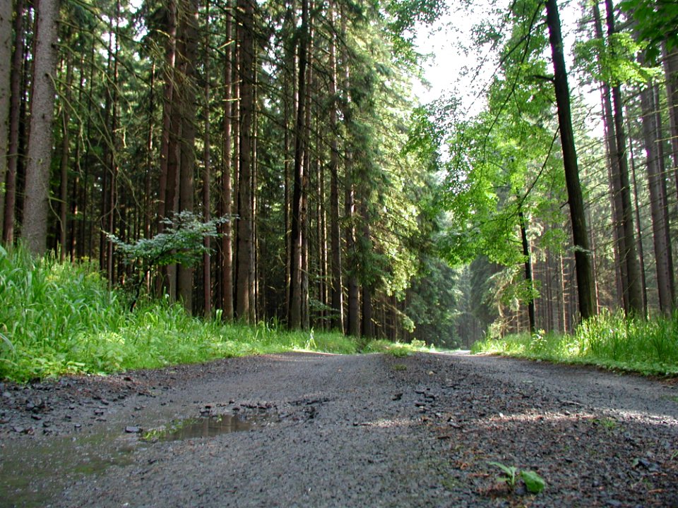 Road 7