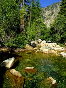 Roaring Falls