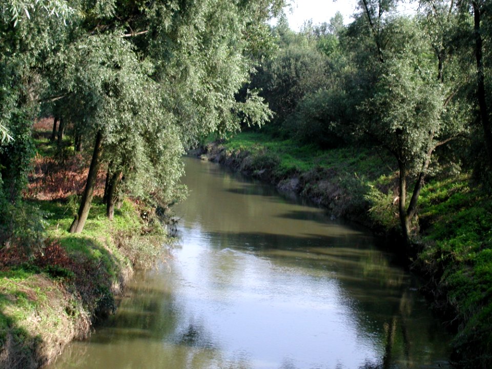 River 5