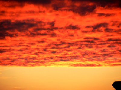 Red Clouds 3