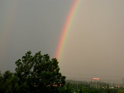 Rainbow 6