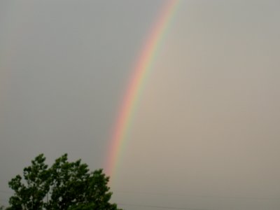 Rainbow 9