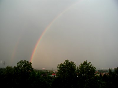 Rainbow 8