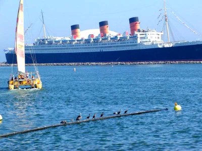 Queen Mary 4 photo