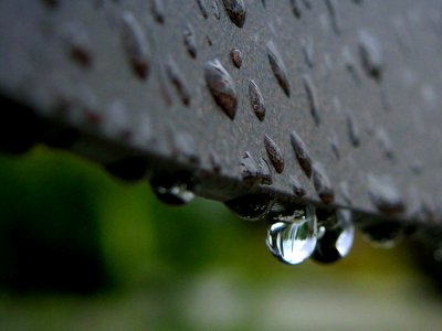Rain Drops