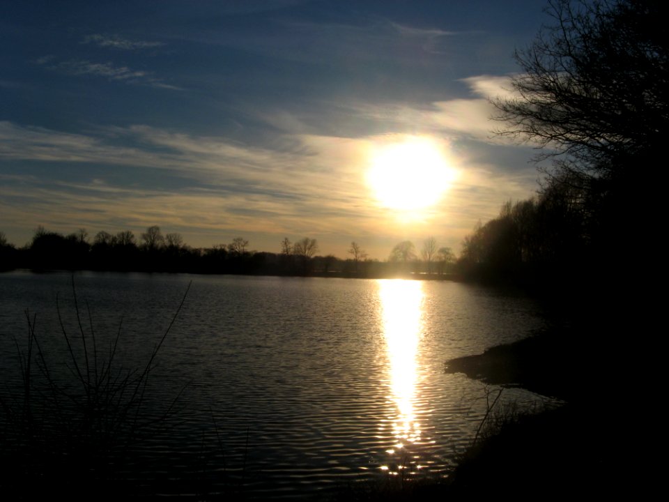 Pond In Sunset