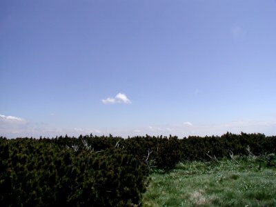 Mountain 80