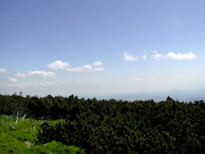 Mountain 90