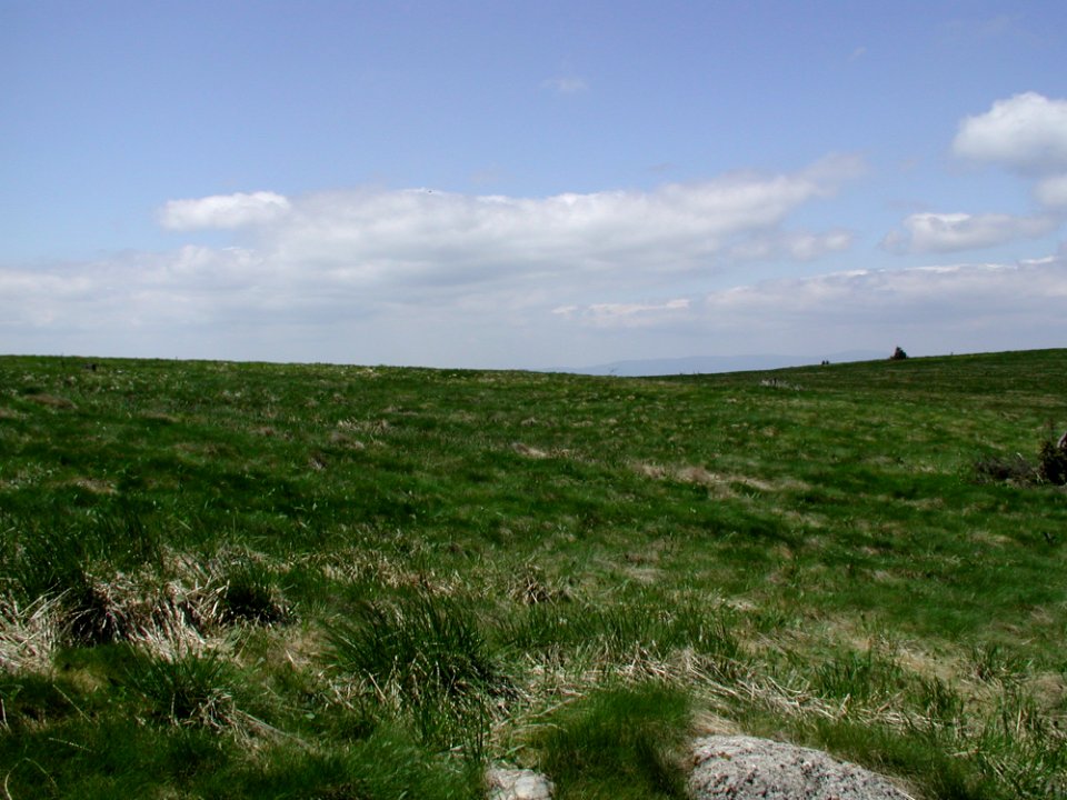 Mountain 65