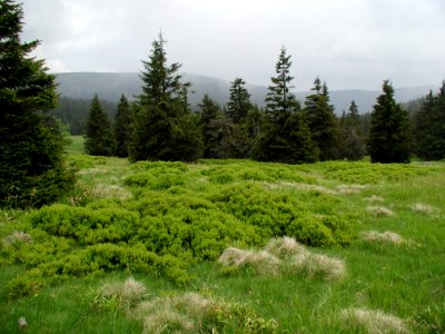 Mountain 51