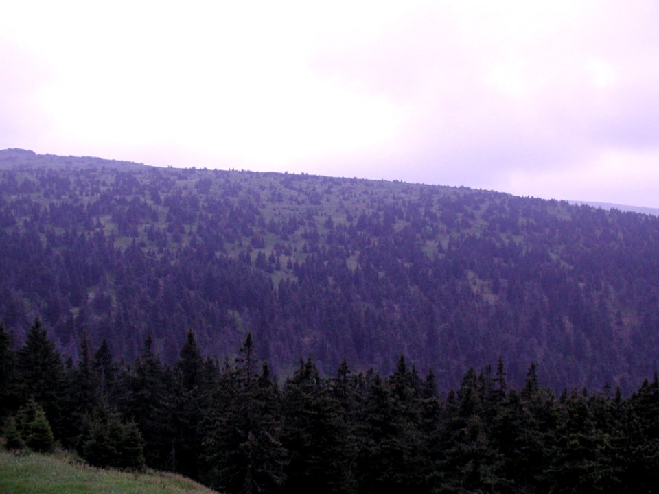Mountain 60