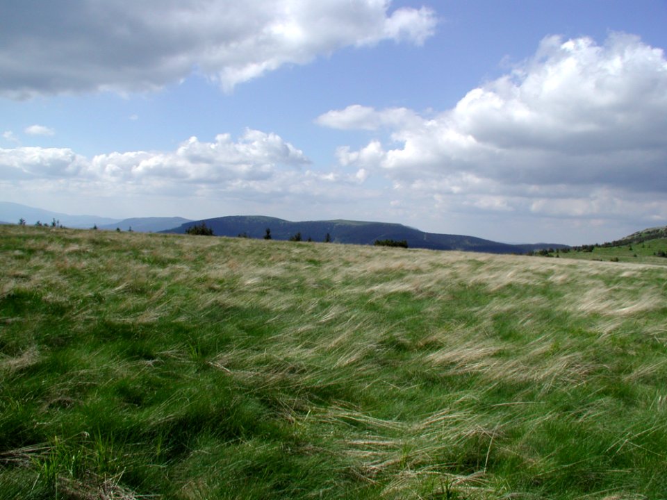 Mountain 5