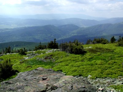 Mountain 114