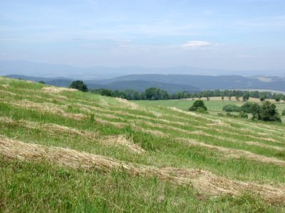 Mountain 19