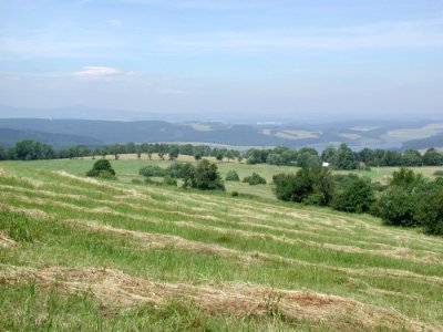 Mountain 20