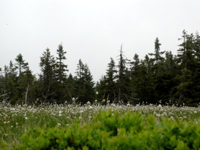 Mountain 33