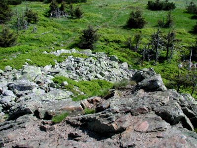 Mountain 113