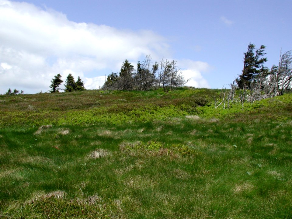 Mountain 102
