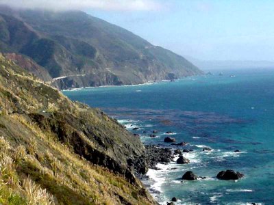 Monterey 25