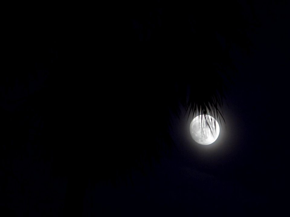 Moon 4