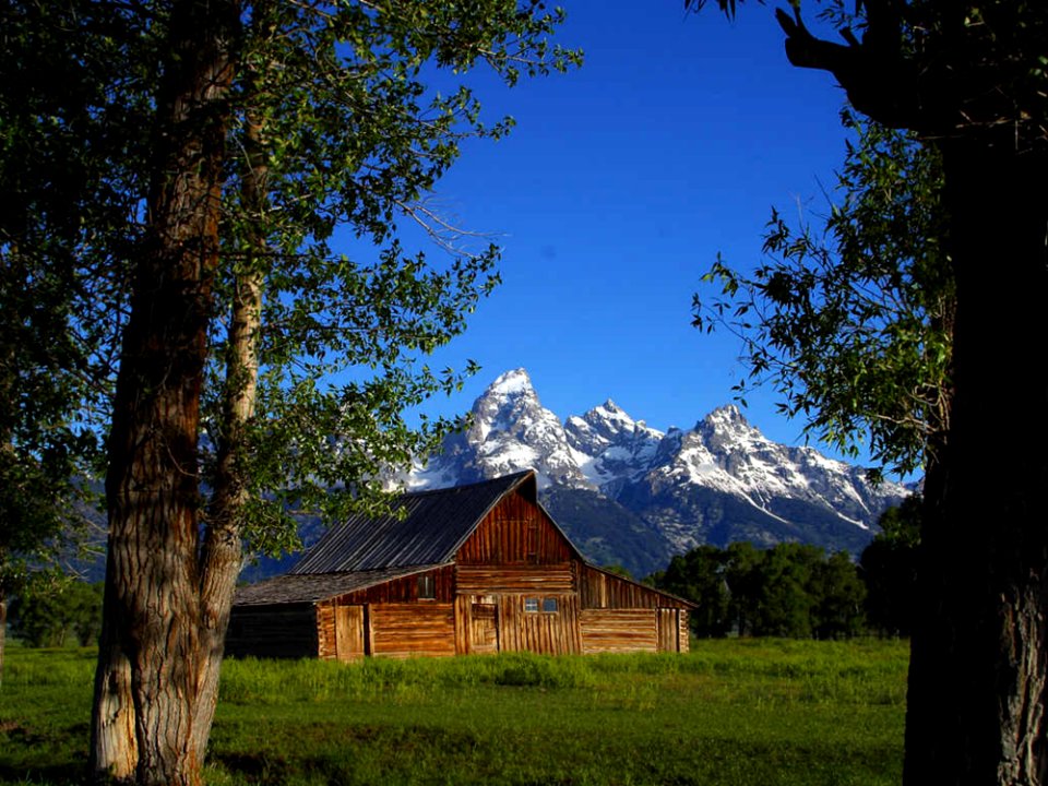 Mormon Row Barns In Grand Teton