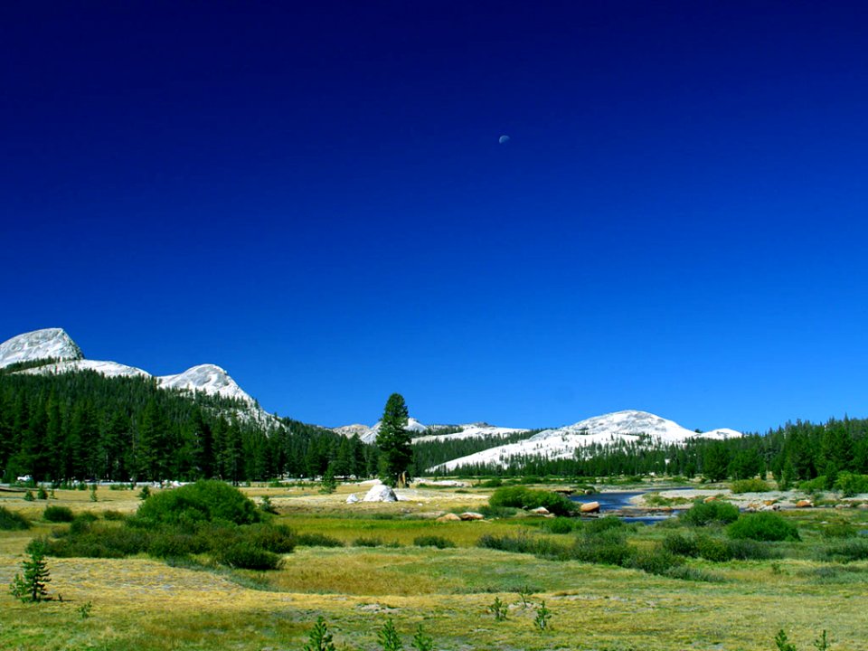 Moon Over Tuolumne Meadows
