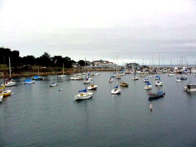 Monterey 8