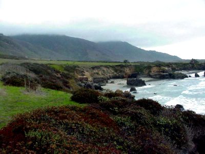 Monterey 11