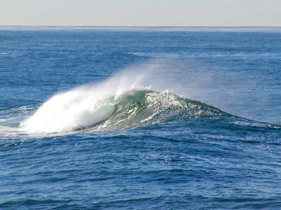 Ocean Wave