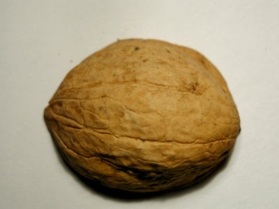 Nut 3