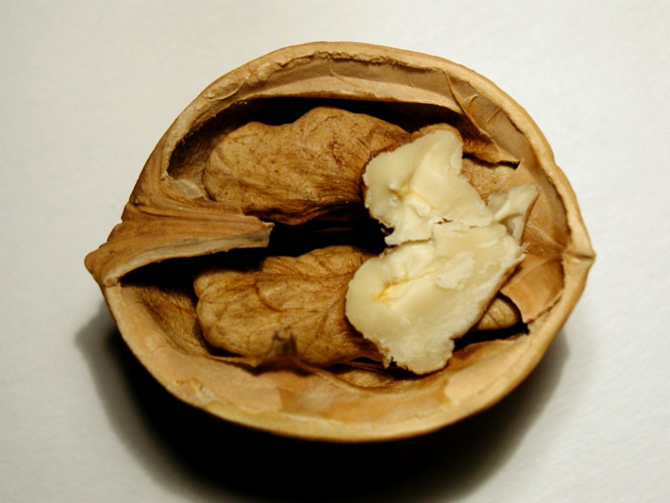 Nut 4