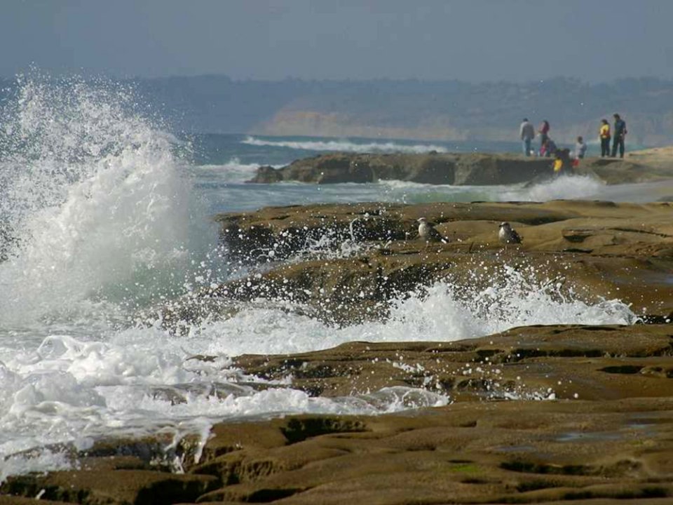 Ocean 6