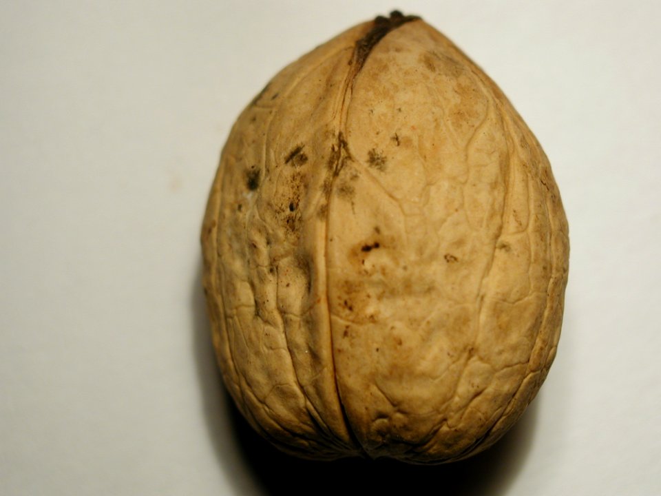 Nut 1