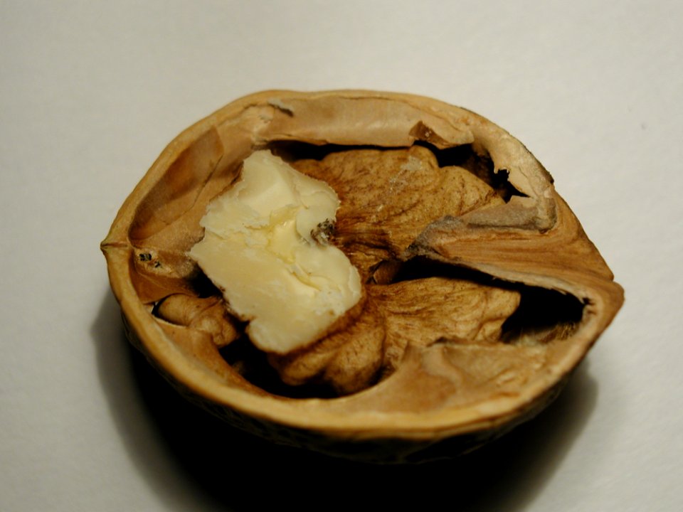Nut 2