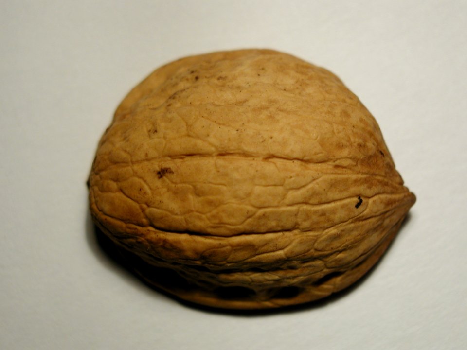 Nut 5