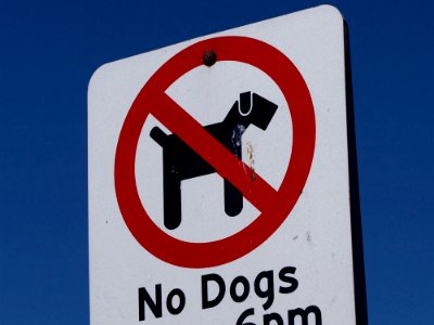 No Dogs Allowed photo