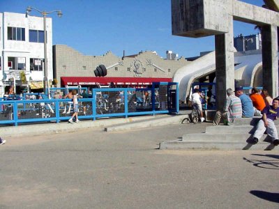 Muscle Beach