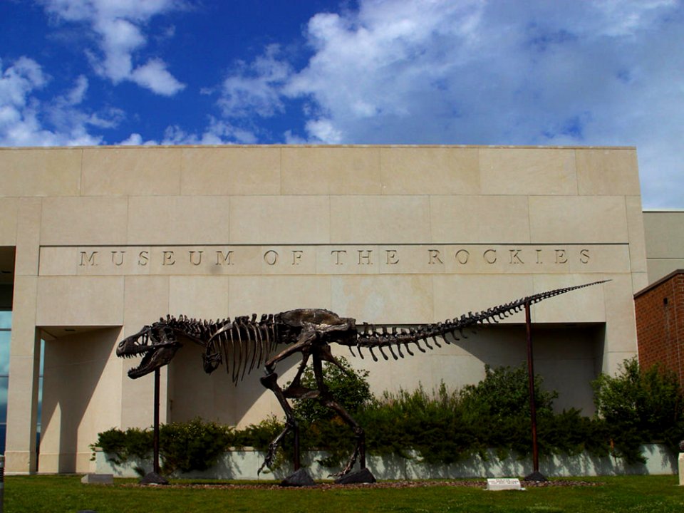 Museum Of The Rockies