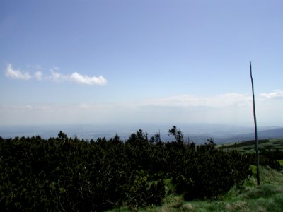Mountain 91