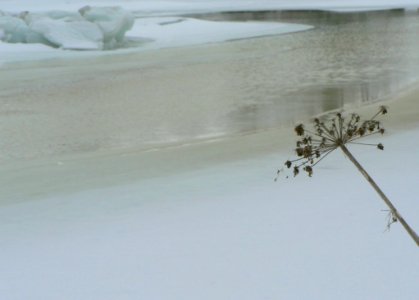 Melting Ice