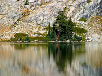 May Lake Reflections