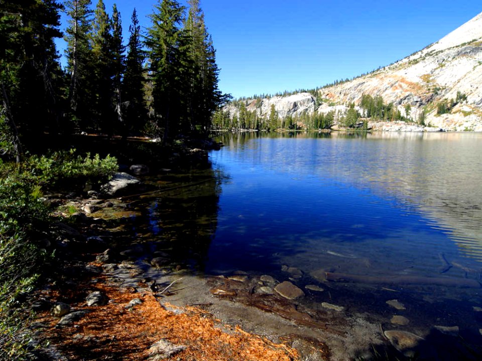 May Lake In Yosemite