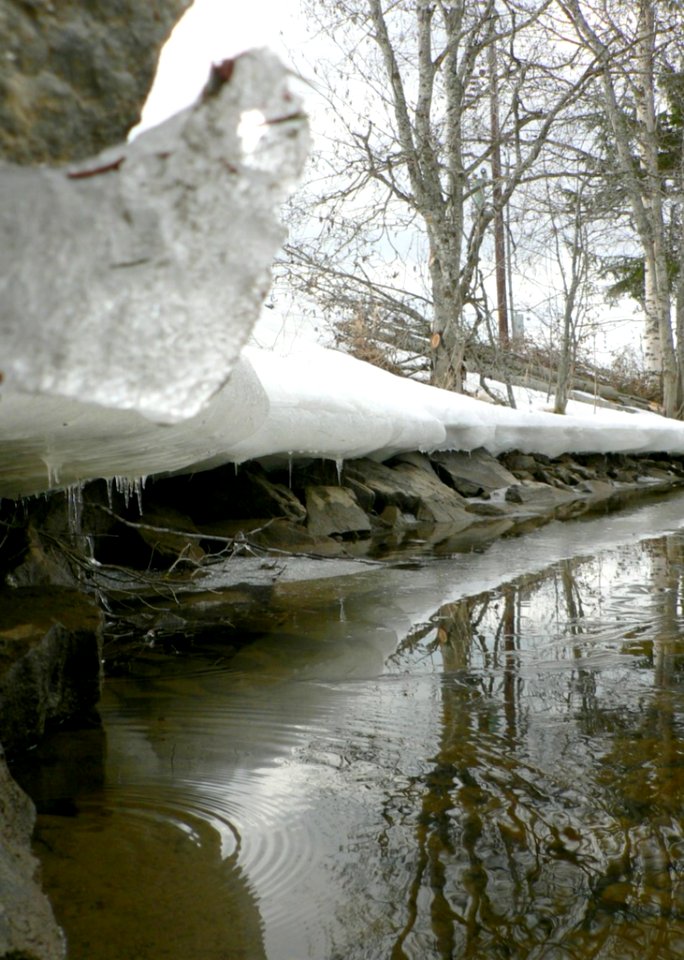Melting Lake Side