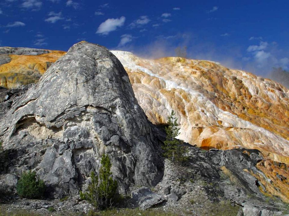 Mammoth Hot Springs 5