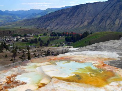 Mammoth Hot Springs 6