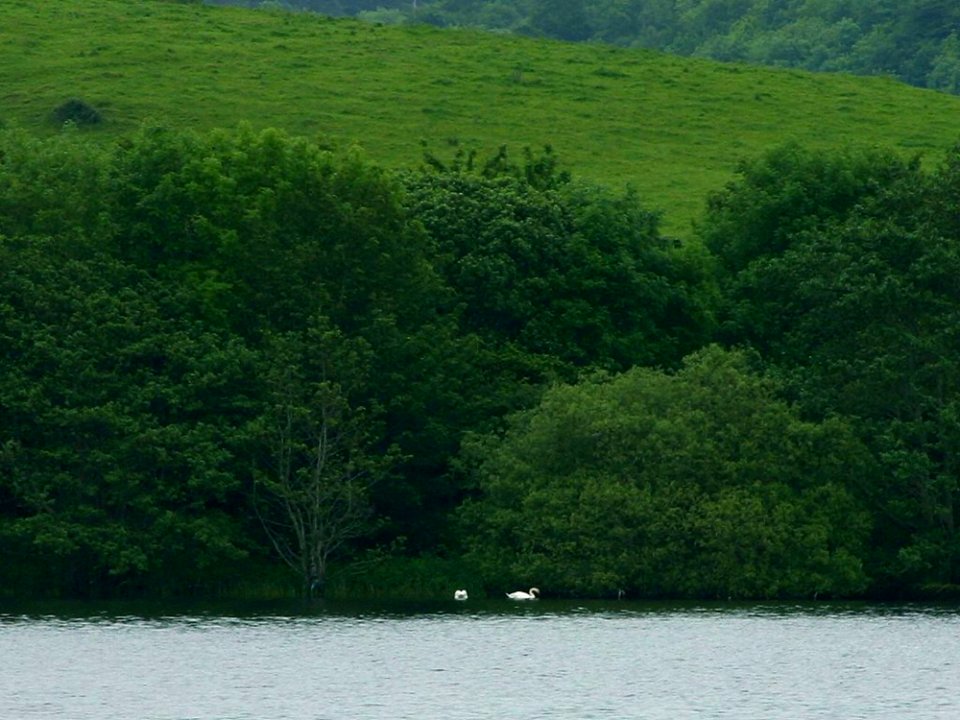 Lough Gill 2